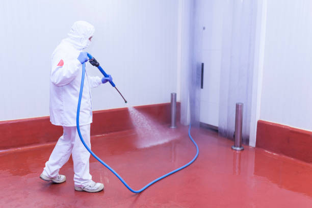 Spring Cleaning in East Farmingdale, NY