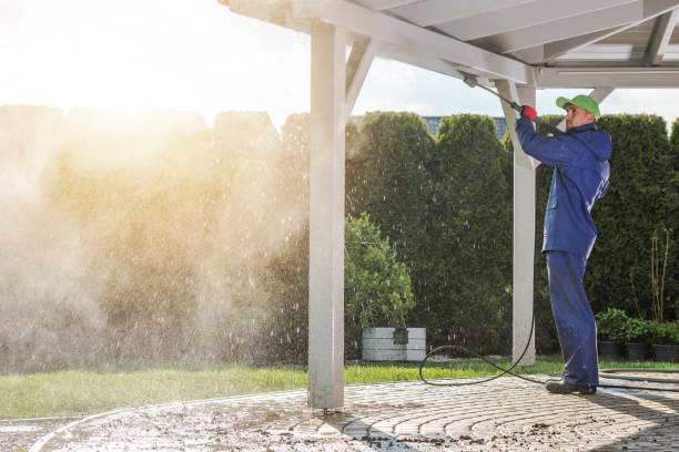 Best Animal Enclosure Cleaning  in East Farmingdale, NY
