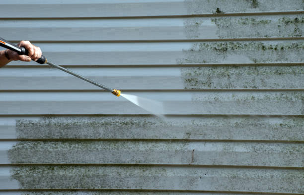 Best Driveway Pressure Washing  in East Farmingdale, NY